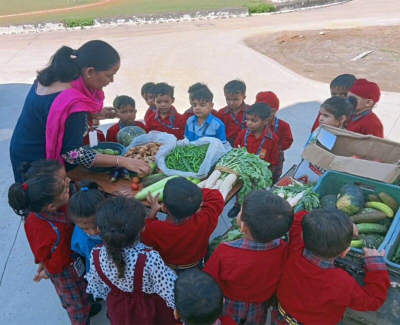 Vegetable vendor in Pre School- (1)-min