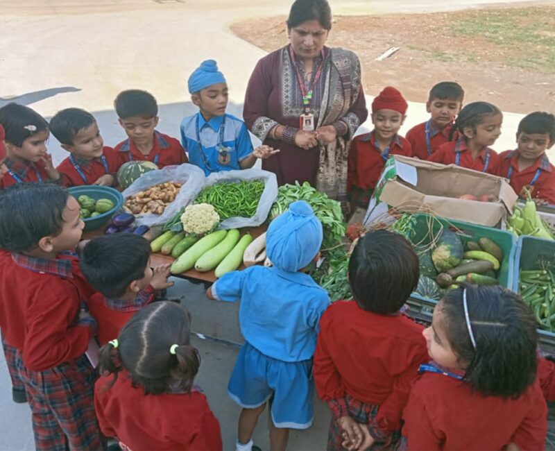 Vegetable vendor in Pre School- (5)-min