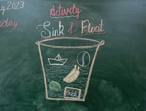 Sink and Float- (1)