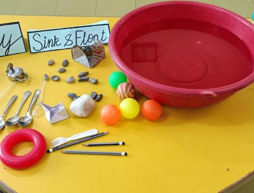 Sink and Float- (3)